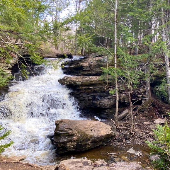 Meet your Posher, Makayla - Picture 1 of 1